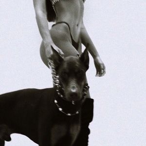 Meet your Posher, Sadie